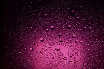 water drops autumn purple pink background setting sun
