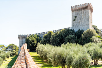 Castiglione del Lago medieval fortress fort tunnel, wall in Umbria, Italy, Rocca with Medievale o Rocca del Leone tower, olive trees in sunny summer day