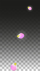 Vector Realistic Pink Petals Falling on Transparent Background.  Spring Romantic Flowers Illustration. Flying Petals. Sakura Spa Design. Blossom Confetti.