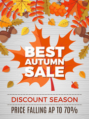 Autumn poster of sales. Orange and yellow leaves falls pictures of nature autumn discount vector banner. Illustration of autumn price discount in market