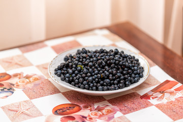 Closeup plate of wild, organic blueberries or bilberries berries on rustic farm house cottage table in Ukraine or Russia, nobody during summer, green leaves