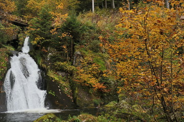 waterfall in the forest during autumn
