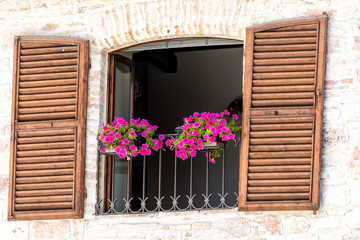Assisi, Italy town or village city in Umbria, closeup of open window shutters balcony and pink flower decorations on sunny summer day, nobody, architecture