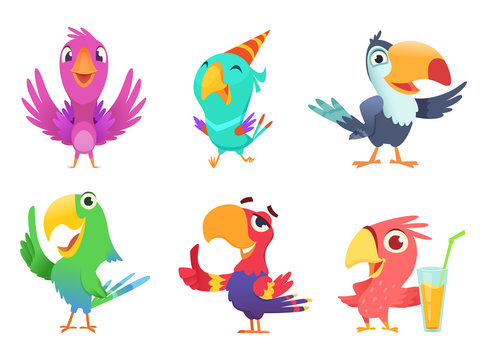 Cartoon parrots characters. Cute feathered birds with colored wings funny exotic parrot various action poses vector pictures isolated. Parrot animal exotic, bird tropical cartoon illustration