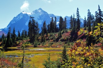 Fototapeta na wymiar Amazing view of Mount Shuksan and vibrant colors around Picture Lake in the North Cascade mountains
