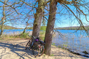 Fototapeta premium bicycle in a nature park