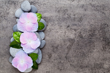 Spa flowers and massage stone, on grey background.