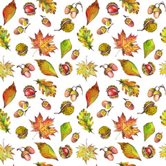 Seamless pattern with maple, oak leaves, chestnuts and acorns. Watercolor on white background.