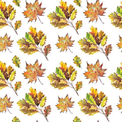 Seamless pattern with oak and maple leaves.  Watercolor on white background.