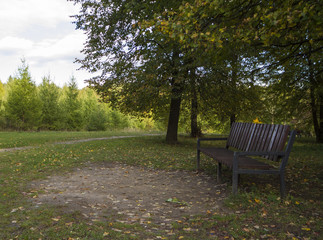Fototapeta premium empty bench in the park