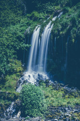waterfall in forest