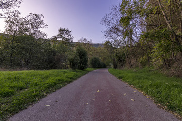 Paesaggio autunnale di campagna con strada ciclabile e pedonale