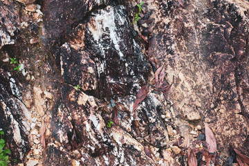 Beautiful stone detail background
