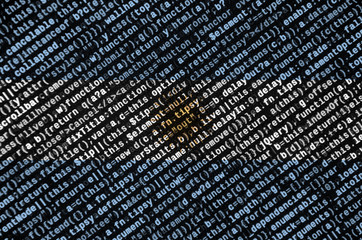 Argentina flag  is depicted on the screen with the program code. The concept of modern technology and site development