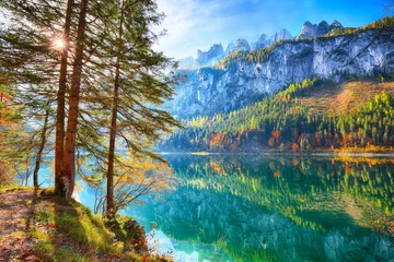 Zelfklevend Fotobehang autumn scenery with Dachstein mountain summit reflecting in crystal clear Gosausee mountain lake © pilat666