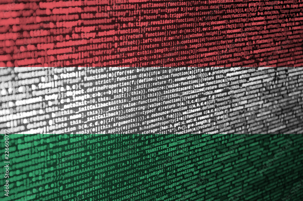 Wall mural hungary flag is depicted on the screen with the program code. the concept of modern technology and s