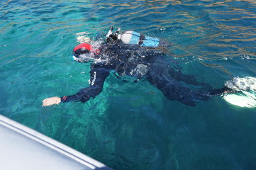 Plongée en mer
