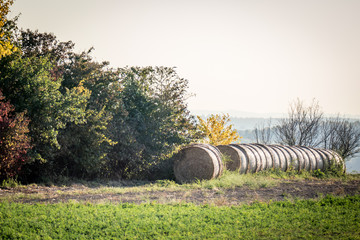 Strohrollen auf dem Feld