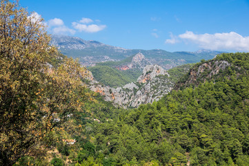 Alanya taurus mountains with trees