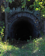 Ancient entrance overgrown with trees to the darkness of the dungeon, catacombs, postern. Abandoned...