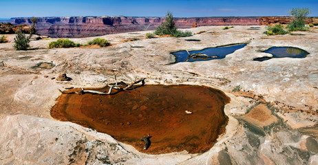 Dead Horse State Park