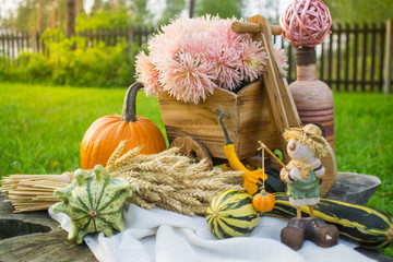 Decorations on the stump in the garden for halloween with asters and pumpkins