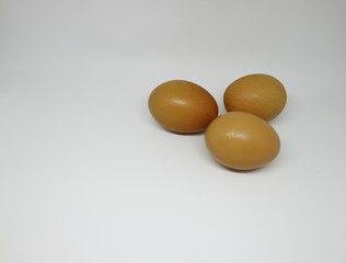 Egg chicken isolated on white background
