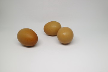 Egg chicken isolated on white background