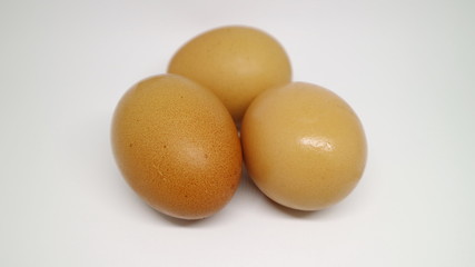 Egg chicken isolated on white background