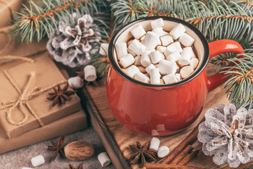 Red cup of hot cocoa with marshmallow