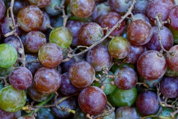 vegetable natural color texture of round grapes