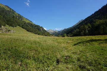 Paysage  de montagne