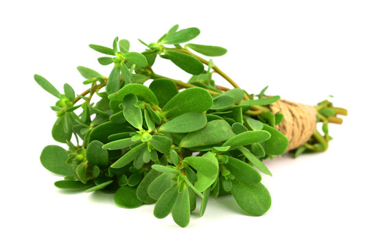 Klinikadan yalangoch yulduzlar Eski dunyo porno