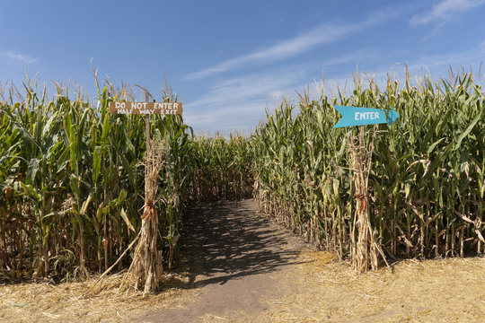 Corn Maze Entrance with Signs