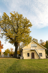 house and tree in autumn