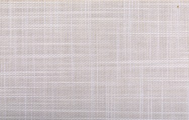 White Upholstery Fabric