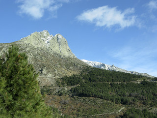 EL TOROZO EN INVIERNO 