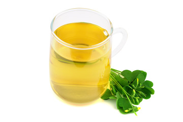 Oxalis Herbal Plant with a Glass Cup of Extract Drink. Also Wood, Yellow or Pink Sorrel, Woodsorrel, Wood-sorrel, False Shamrock or Sourgrass. Isolated on White Background.