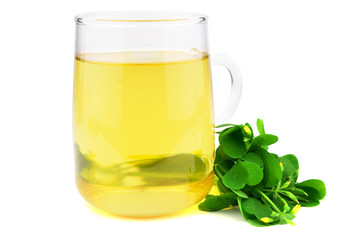 Oxalis Herbal Plant with a Glass Cup of Extract Drink. Also Wood, Yellow or Pink Sorrel, Woodsorrel, Wood-sorrel, False Shamrock or Sourgrass. Isolated on White Background.