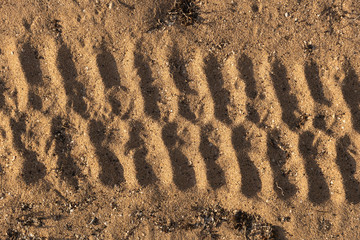 tire track in the sand