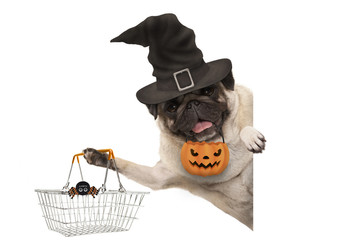 smiling pug puppy dog holding up metal grocery basket, wearing witch hat and carved pumpkin lantern, behind white banner, isolated