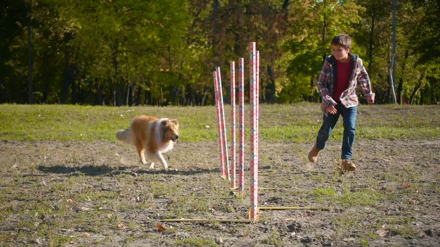 boy running with collie dog at slalom agility training
