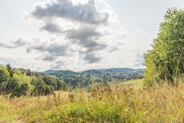 Fototapeta na wymiar Maisfeld und Wiese im Bayerischen Wald, Deutschland