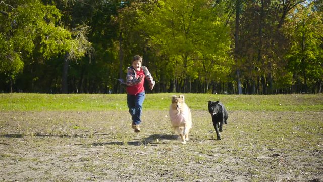 Young boy running with two dogs at the park