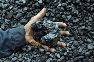 Coal in the hand of worker miner
