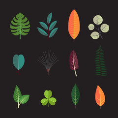 Exotic tropical leaf icons set. Forest tree leaves collection.