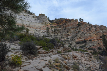 Cliff in Zion National Park - American Southwest