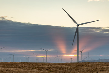 Windmill turbines generating power in Eastern Oregon.