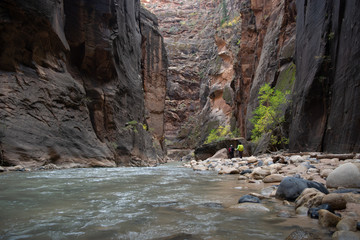 The Narrows - Virgin River Low Angle View