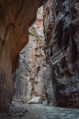 Amazing Hiking Trail in a Stream - Zion National Park